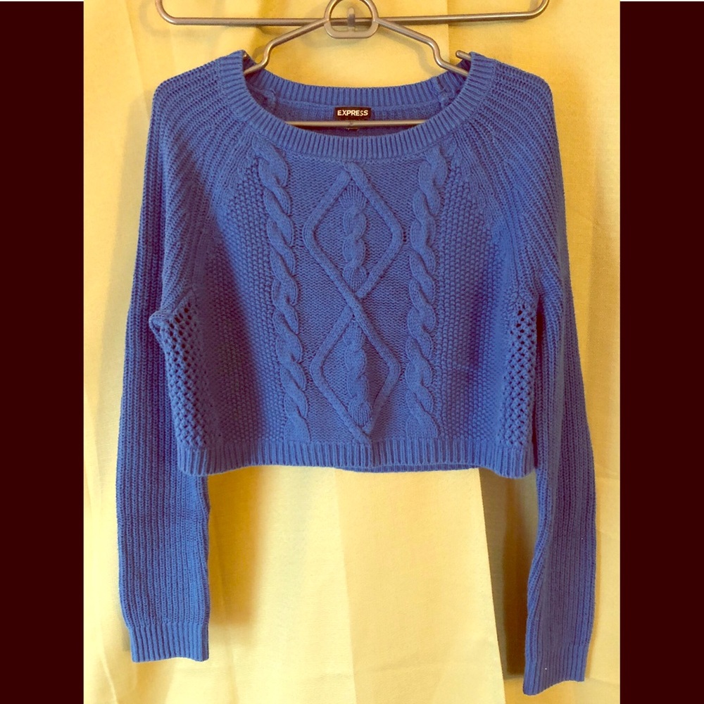 Express Cropped Blue Sweater